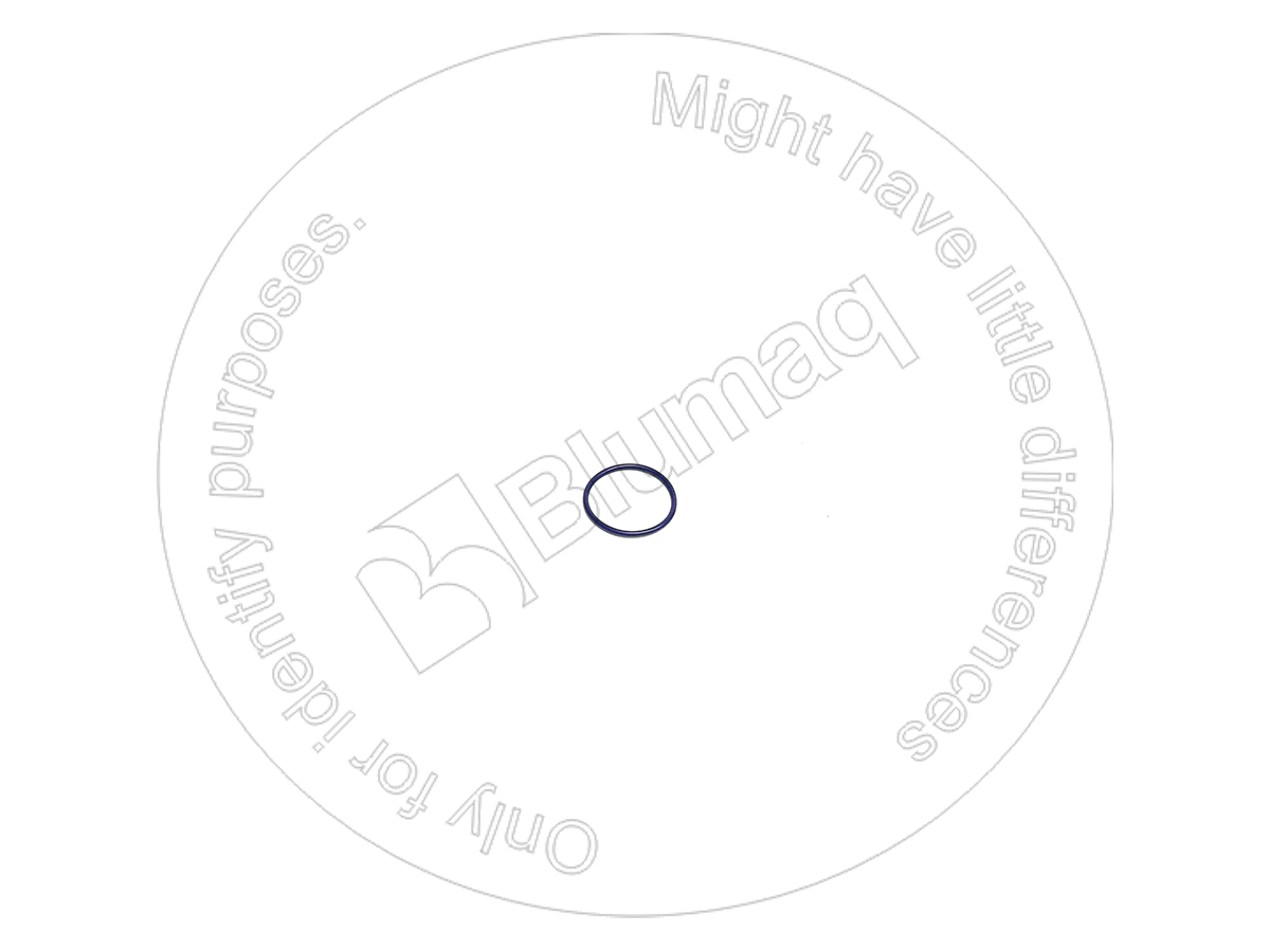 0982992 ST КОЛЬЦО КРУГЛОГО СЕЧЕНИЯ
