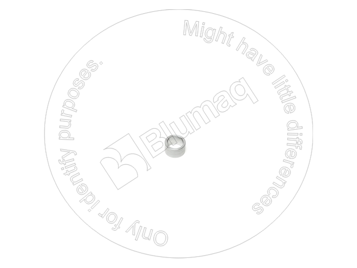 9N3079 BQ ШАЙБА