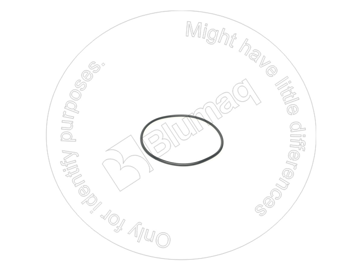 6219713280 ST КОЛЬЦО КРУГЛОГО СЕЧЕНИЯ