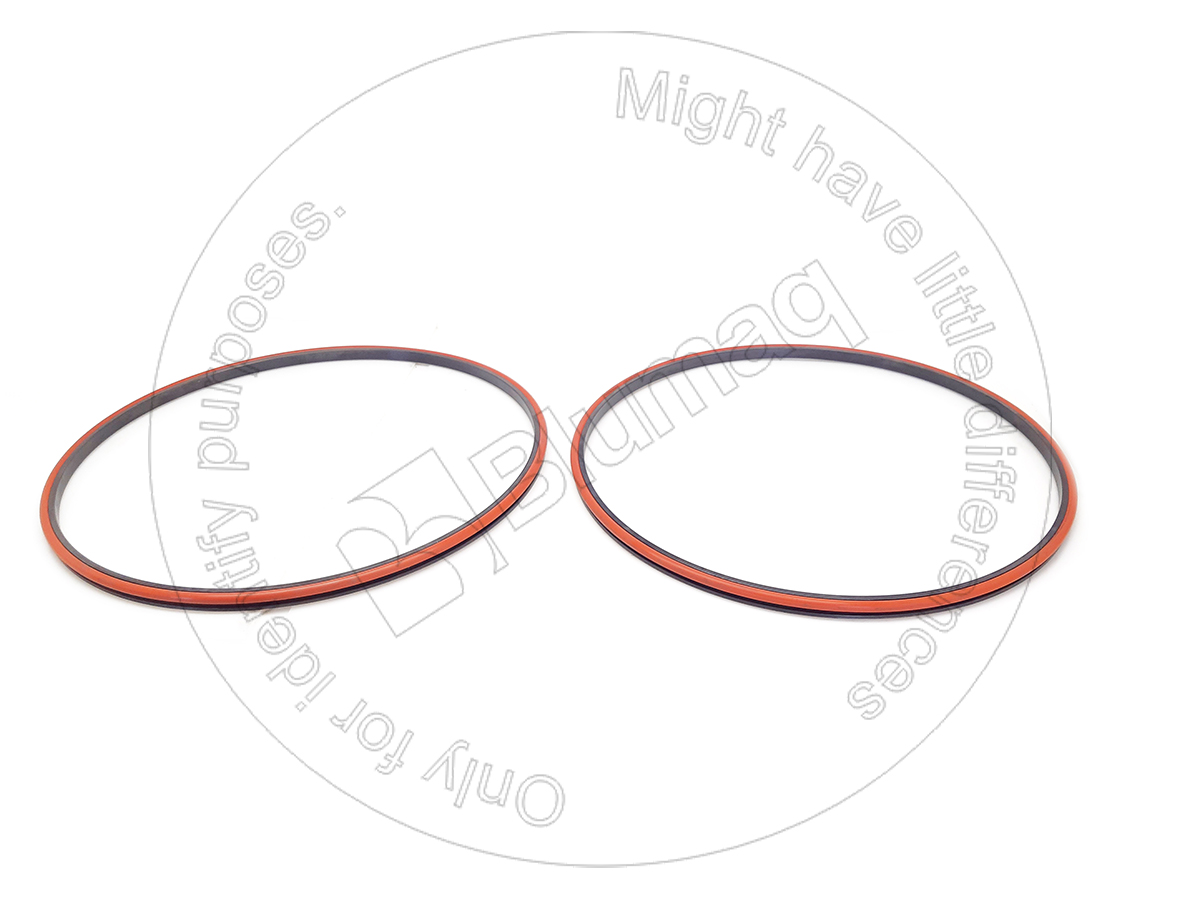 4229075 ST SEAL GP-DU