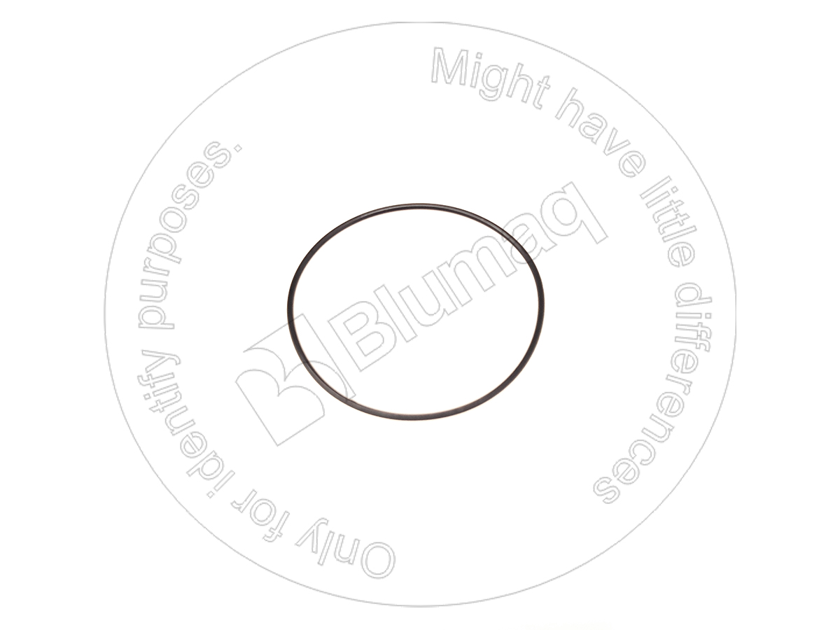 1P8362 ST КОЛЬЦО КРУГЛОГО СЕЧЕНИЯ