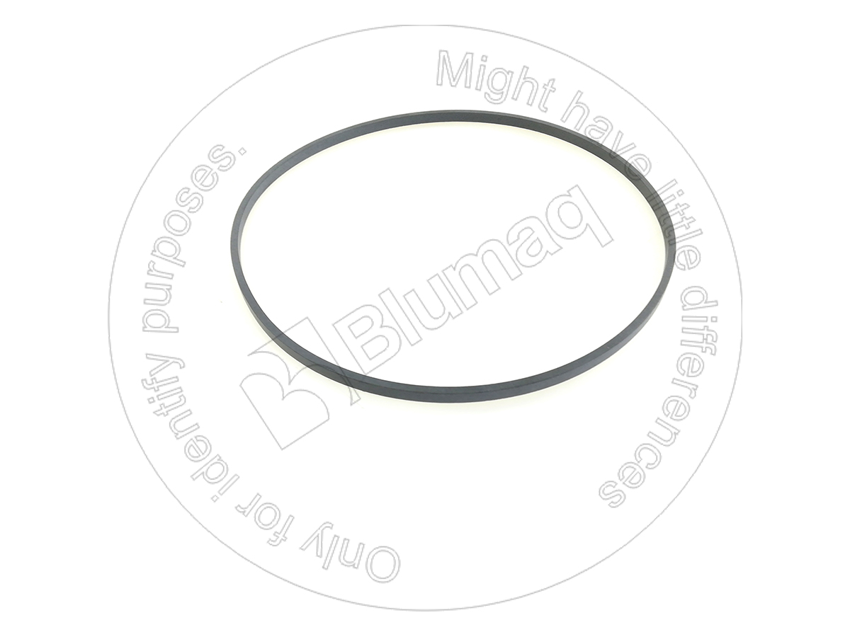 5P5589 OR САЛЬНИК