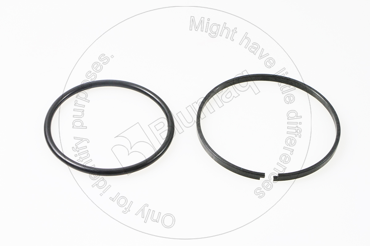 8C9164 ST САЛЬНИК