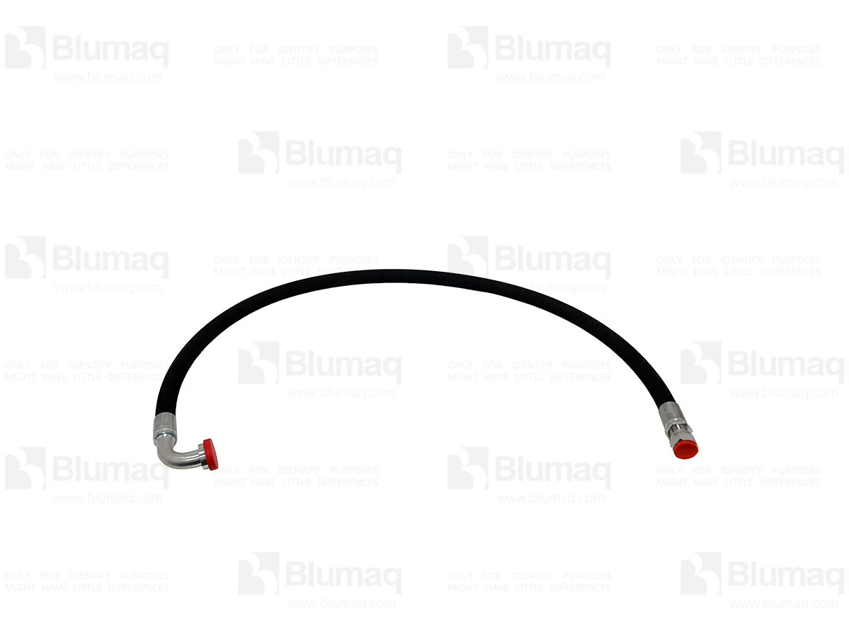 3174118 BQ HOSE