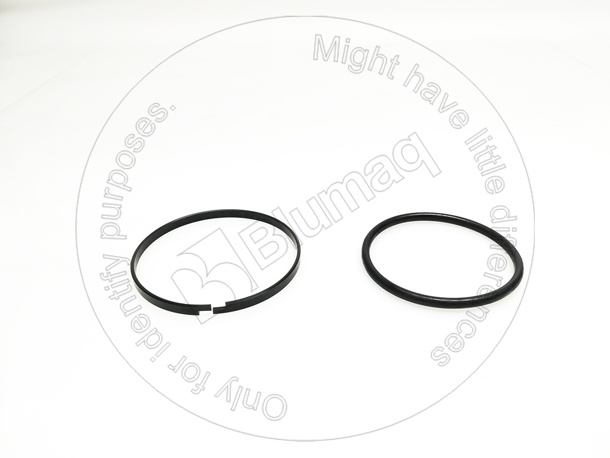 6E0466 ST САЛЬНИК