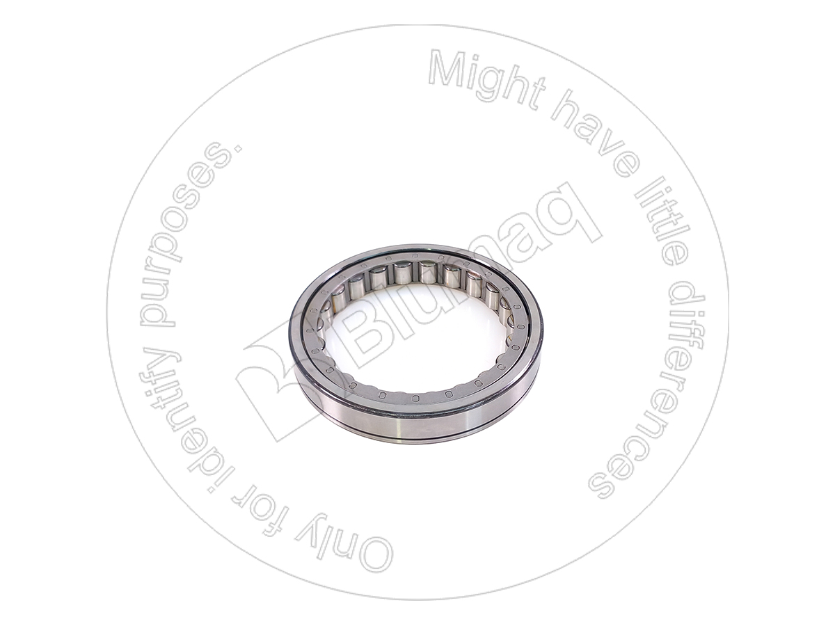 5D6658 OE RACE & RLR