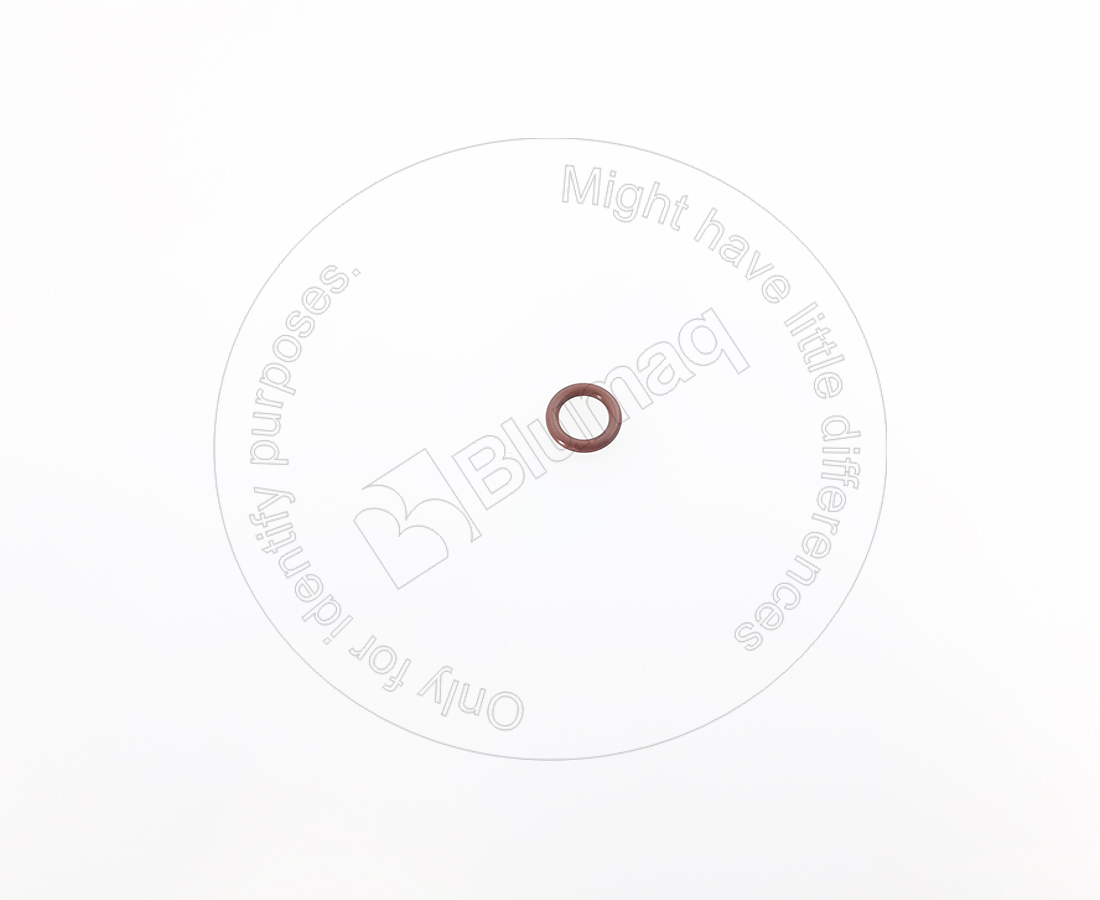 R916463068 ST КОЛЬЦО КРУГЛОГО СЕЧЕНИЯ