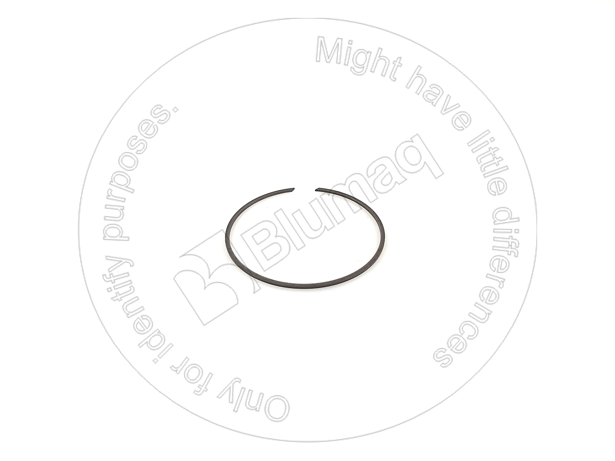 843800105 OR RING