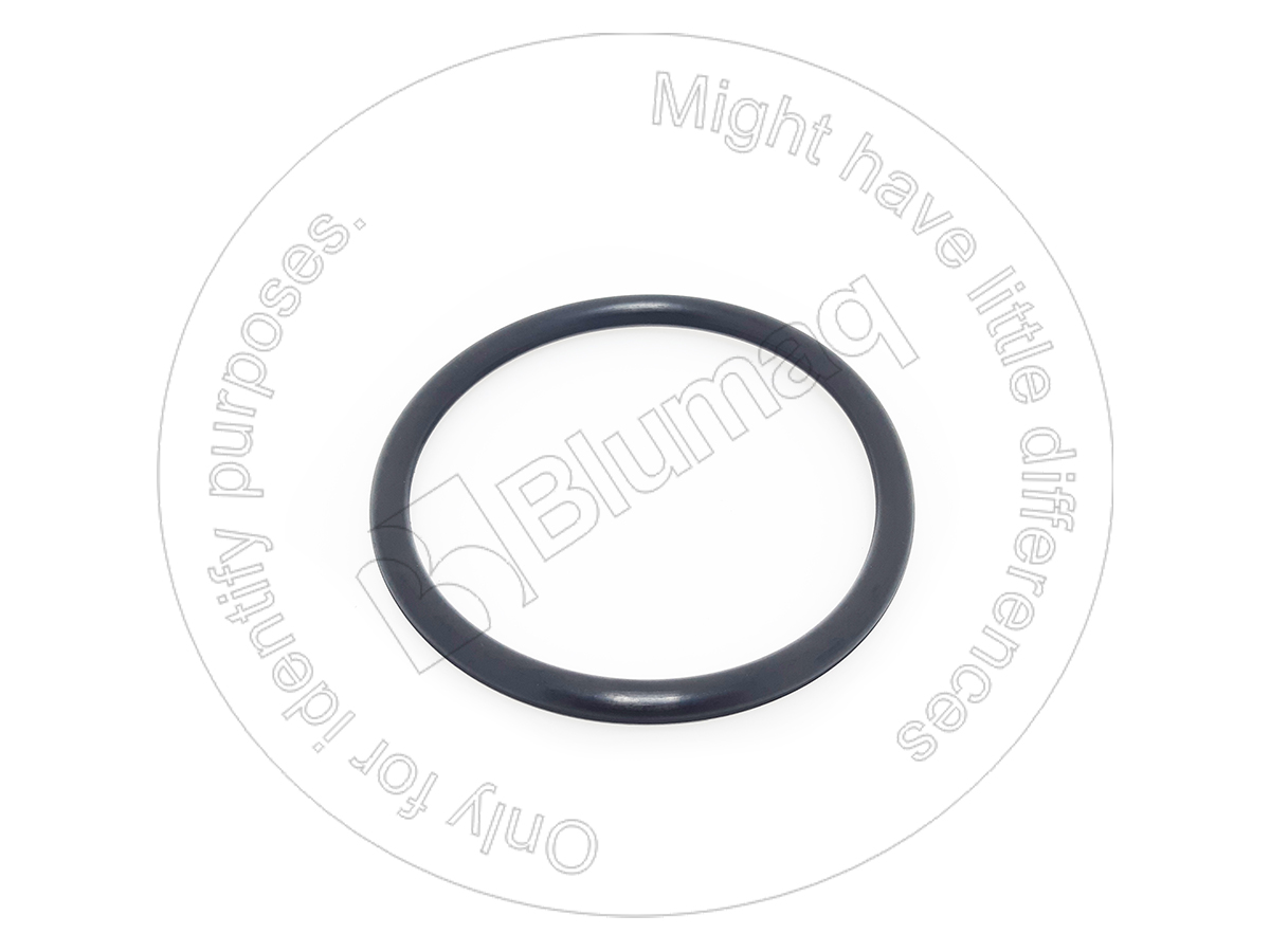 1079976 ST КОЛЬЦО КРУГЛОГО СЕЧЕНИЯ