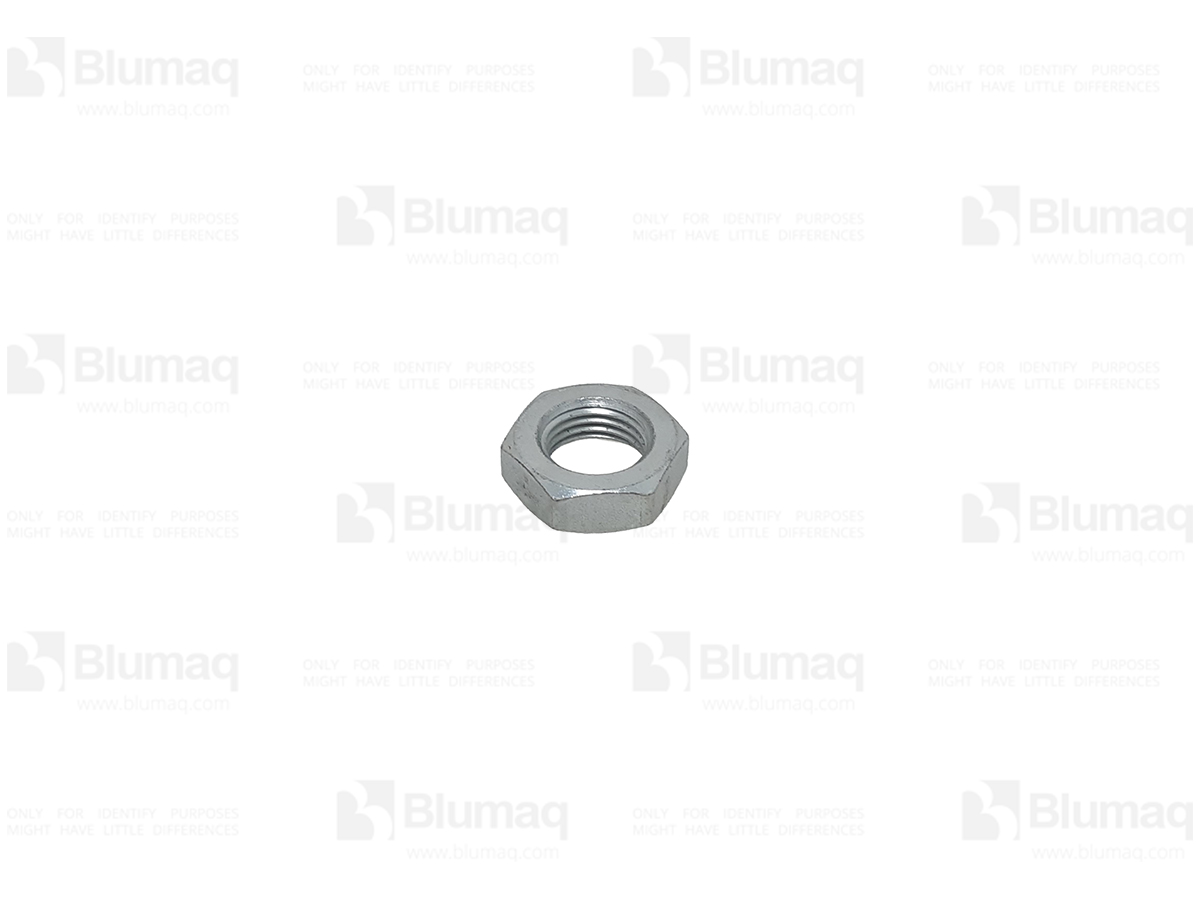 0L1013 ST ГАЙКА