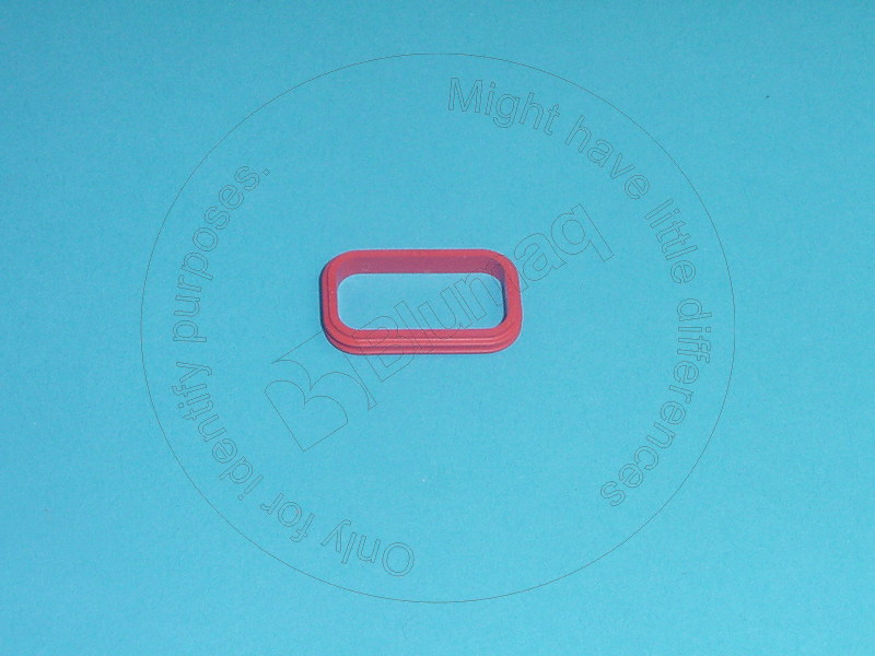 2090635 OE САЛЬНИК