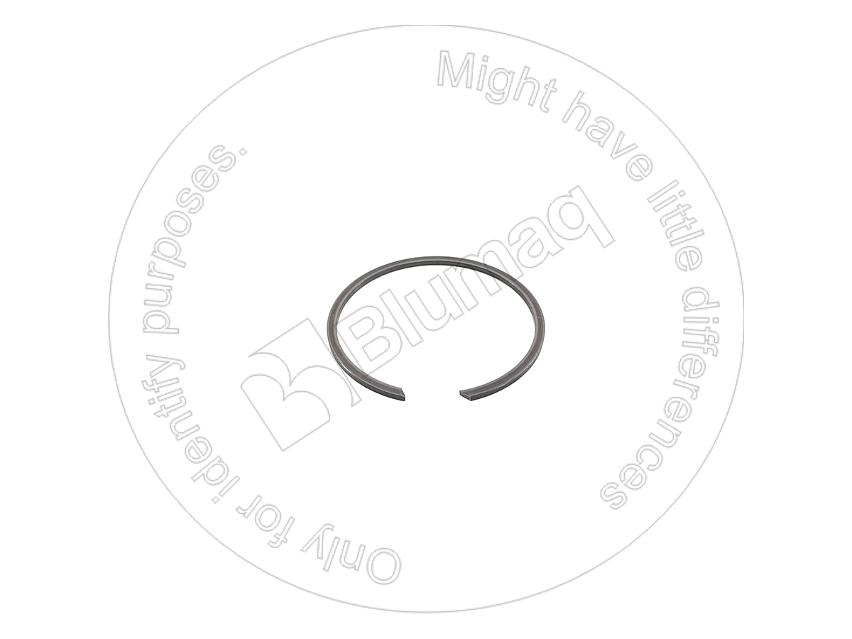 0501318247 OE КОЛЬЦО