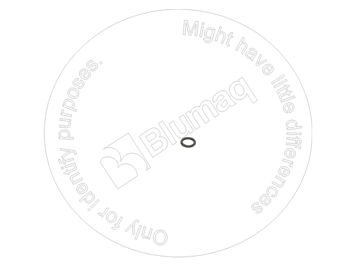 6L9795 BQ КОЛЬЦО КРУГЛОГО СЕЧЕНИЯ