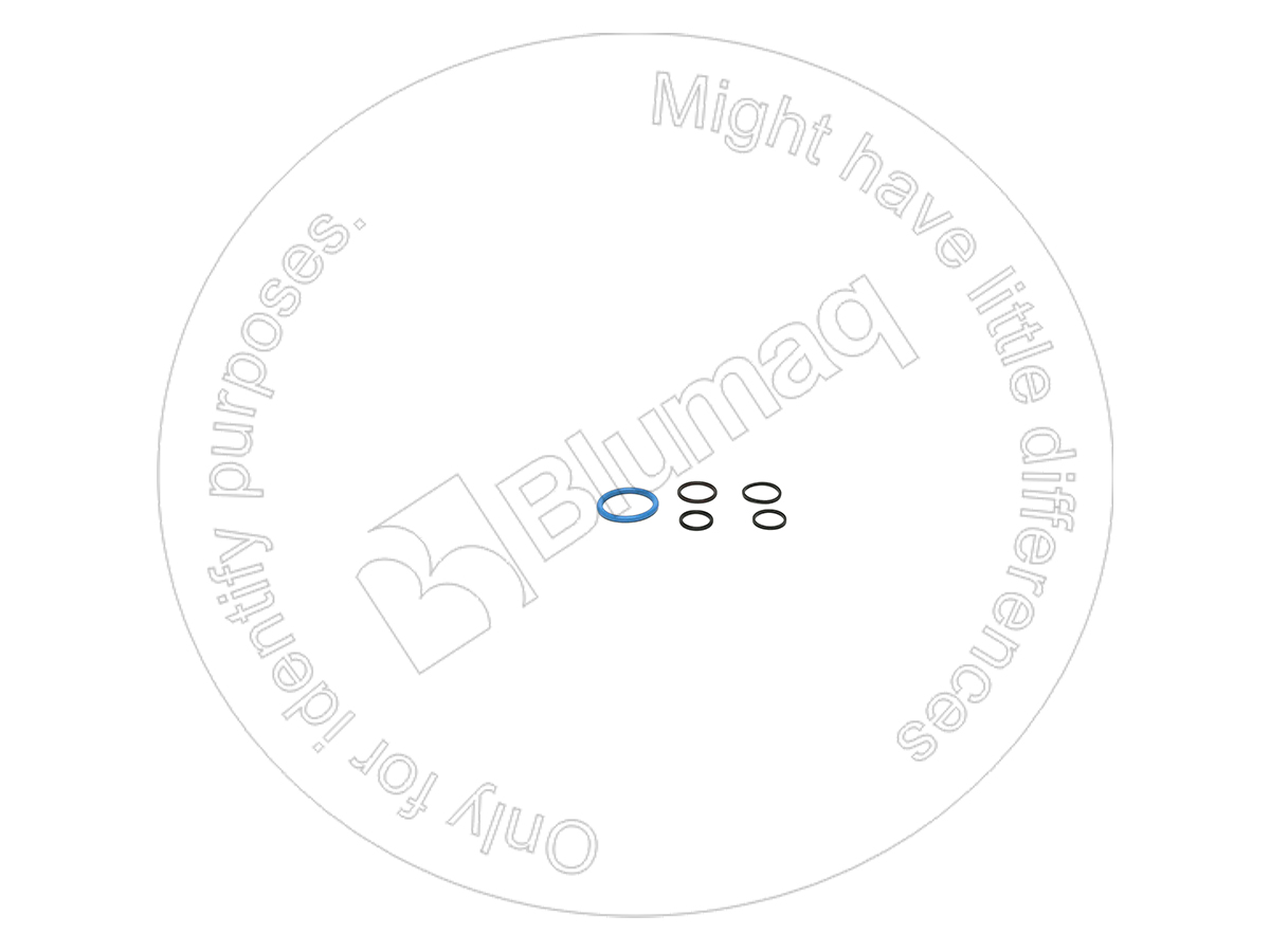 1004083 BQ НАБОР УПЛОТНИТЕЛЬНЫХ КОЛЕЦ