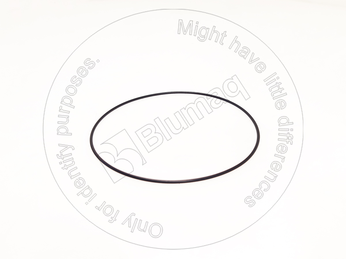 969528 ST КОЛЬЦО КРУГЛОГО СЕЧЕНИЯ