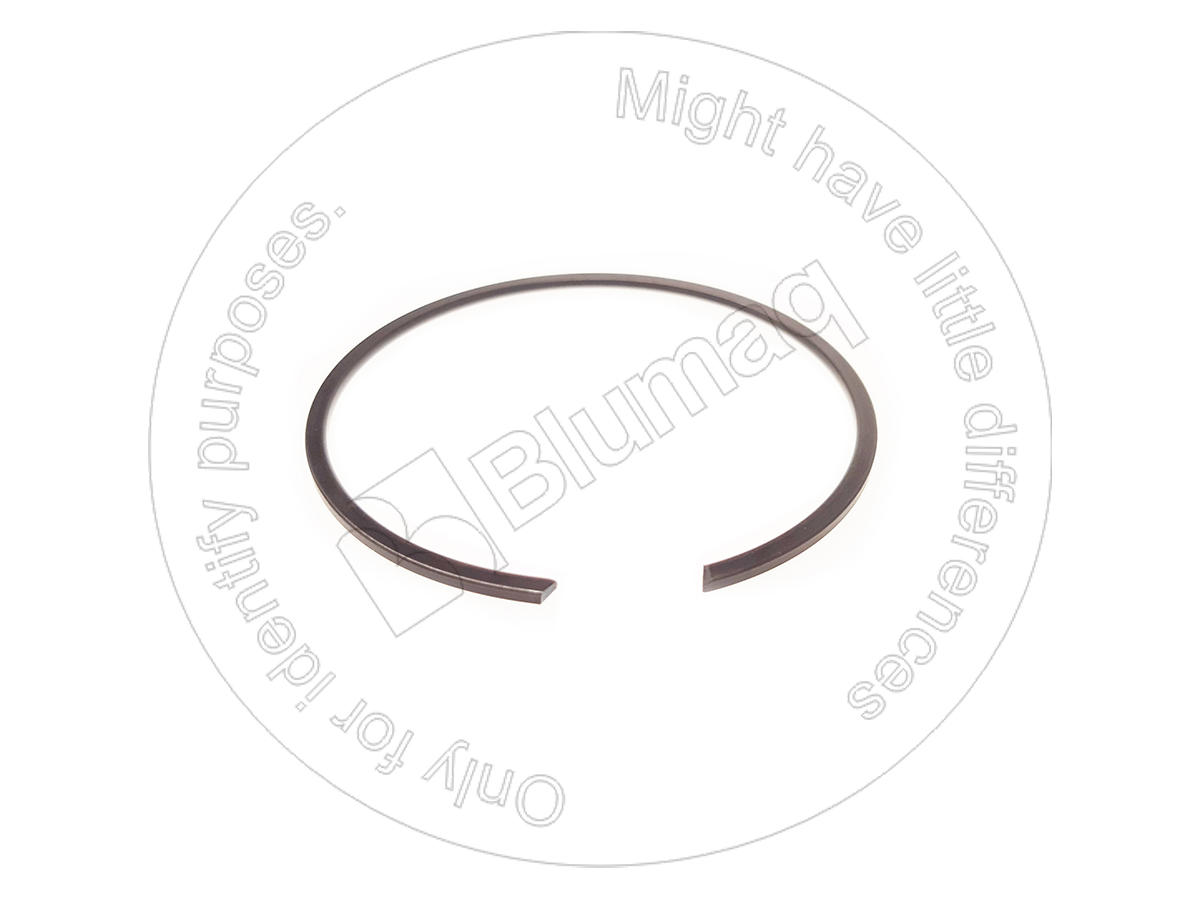 2074257 ST ПРУЖИННОЕ КОЛЬЦО