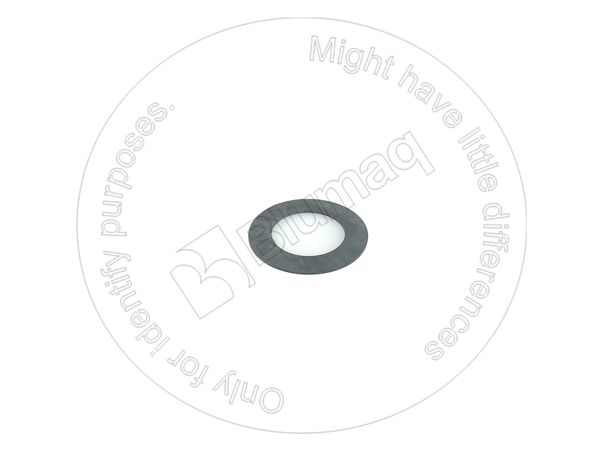 7V8424 BQ ШАЙБА