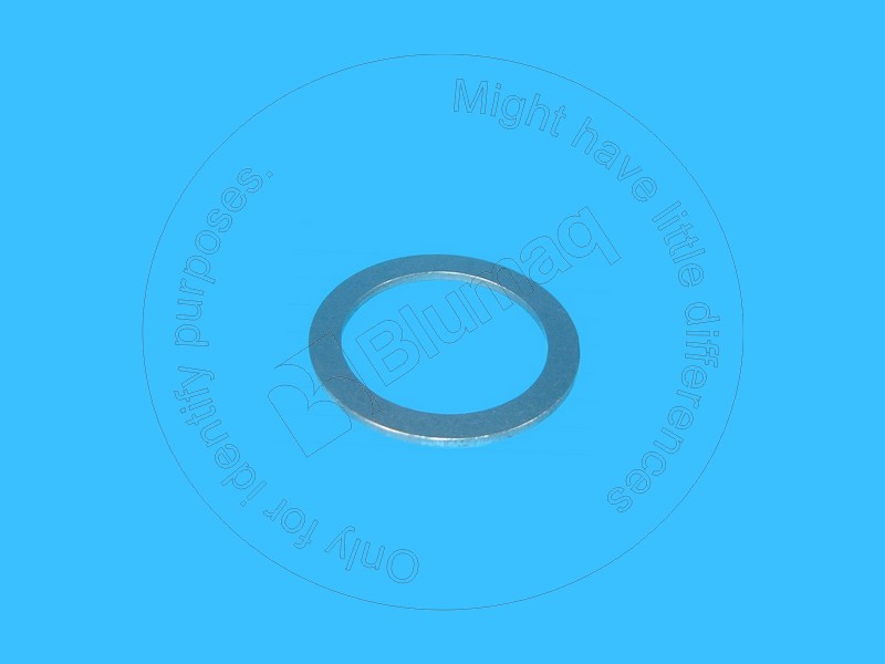 1G6098 ST ШАЙБА