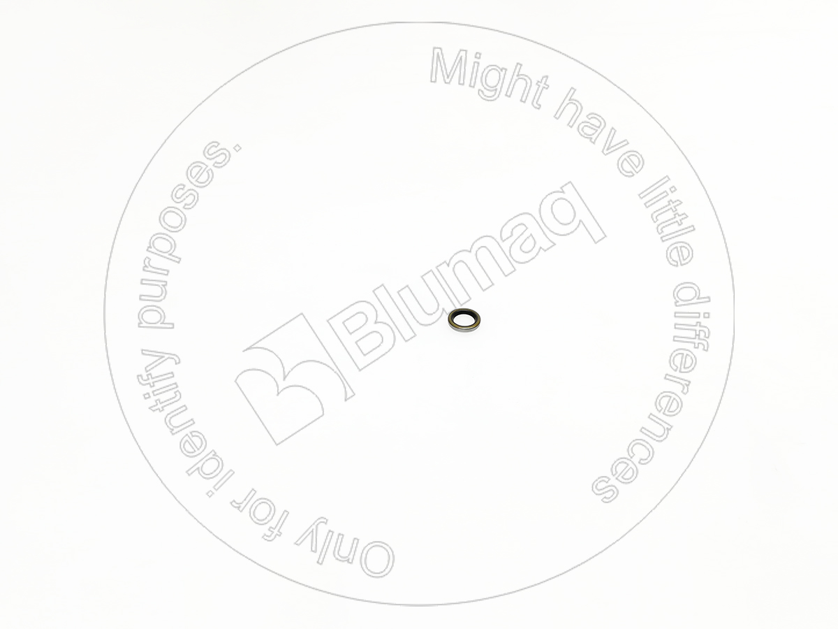 3N2813 ST САЛЬНИК