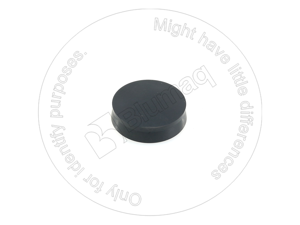 CT1081299 OE МЕМБРАНА