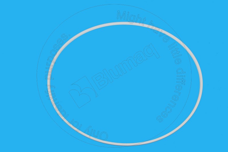 6T2037 ST КОЛЬЦО УПЛОТНИТЕЛЬНОЕ