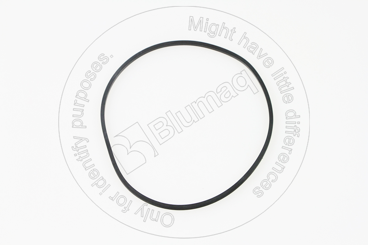 9R2496 ST САЛЬНИК