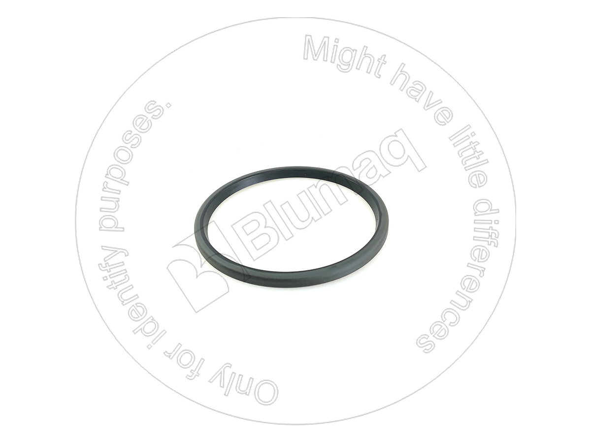 5P8190 OR САЛЬНИК