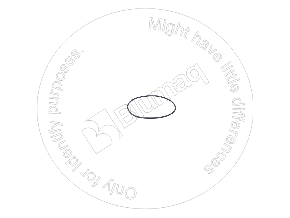 2984549 ST КОЛЬЦО КРУГЛОГО СЕЧЕНИЯ