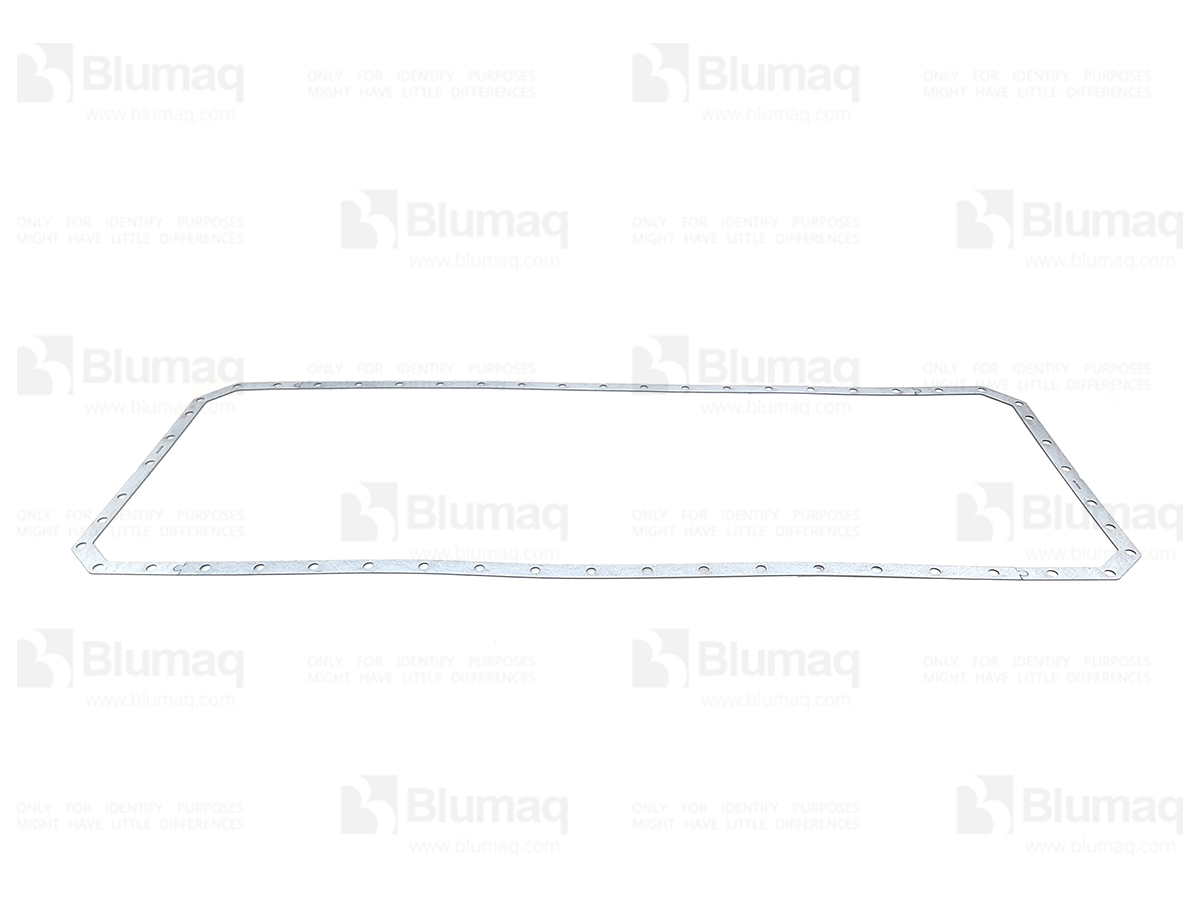 6N4246 BQ ПРОКЛАДКА