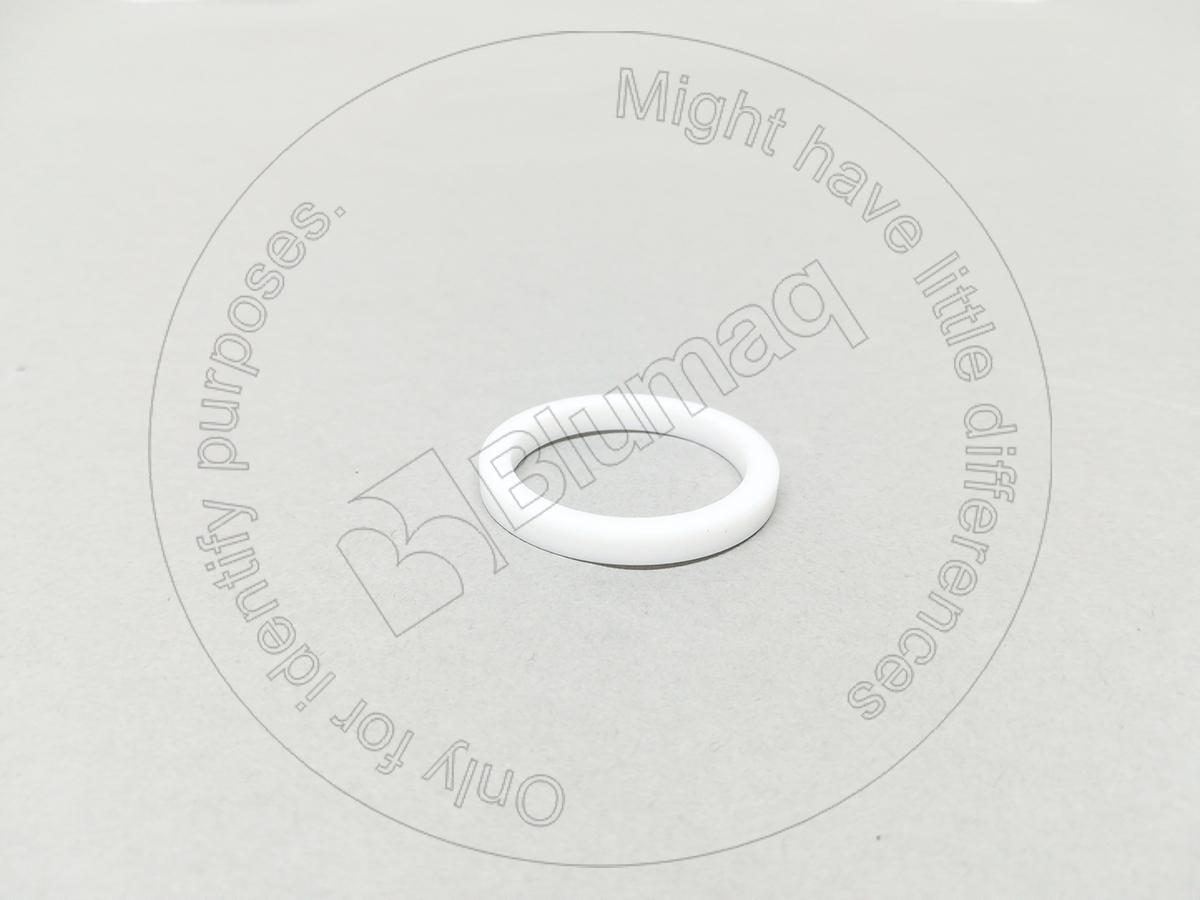 8J5476 ST САЛЬНИК