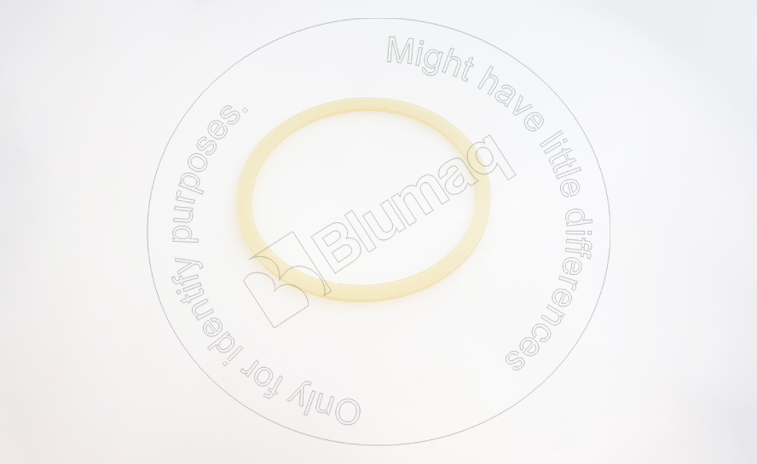 9J1186 ST САЛЬНИК