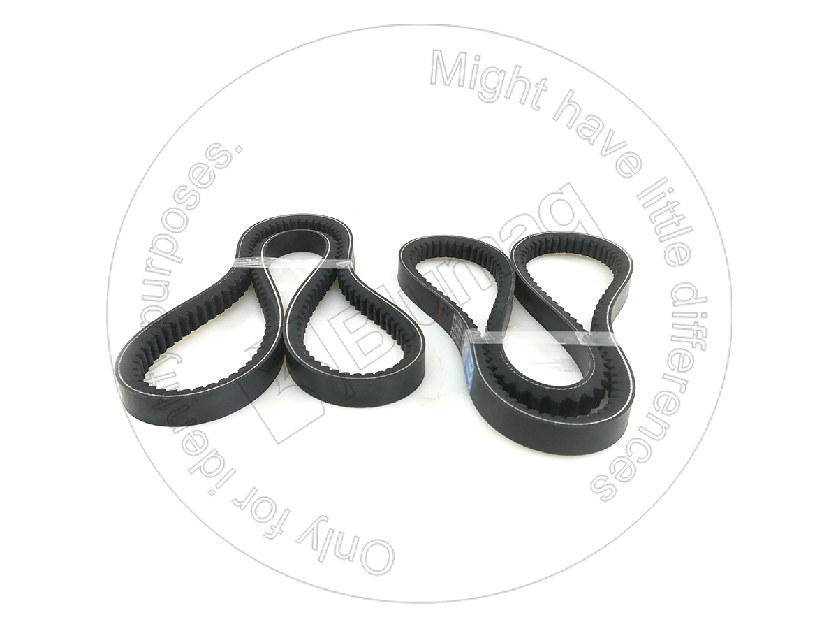 4N6529 BQ КОМПЛЕКТ РЕМНЕЙ (2)