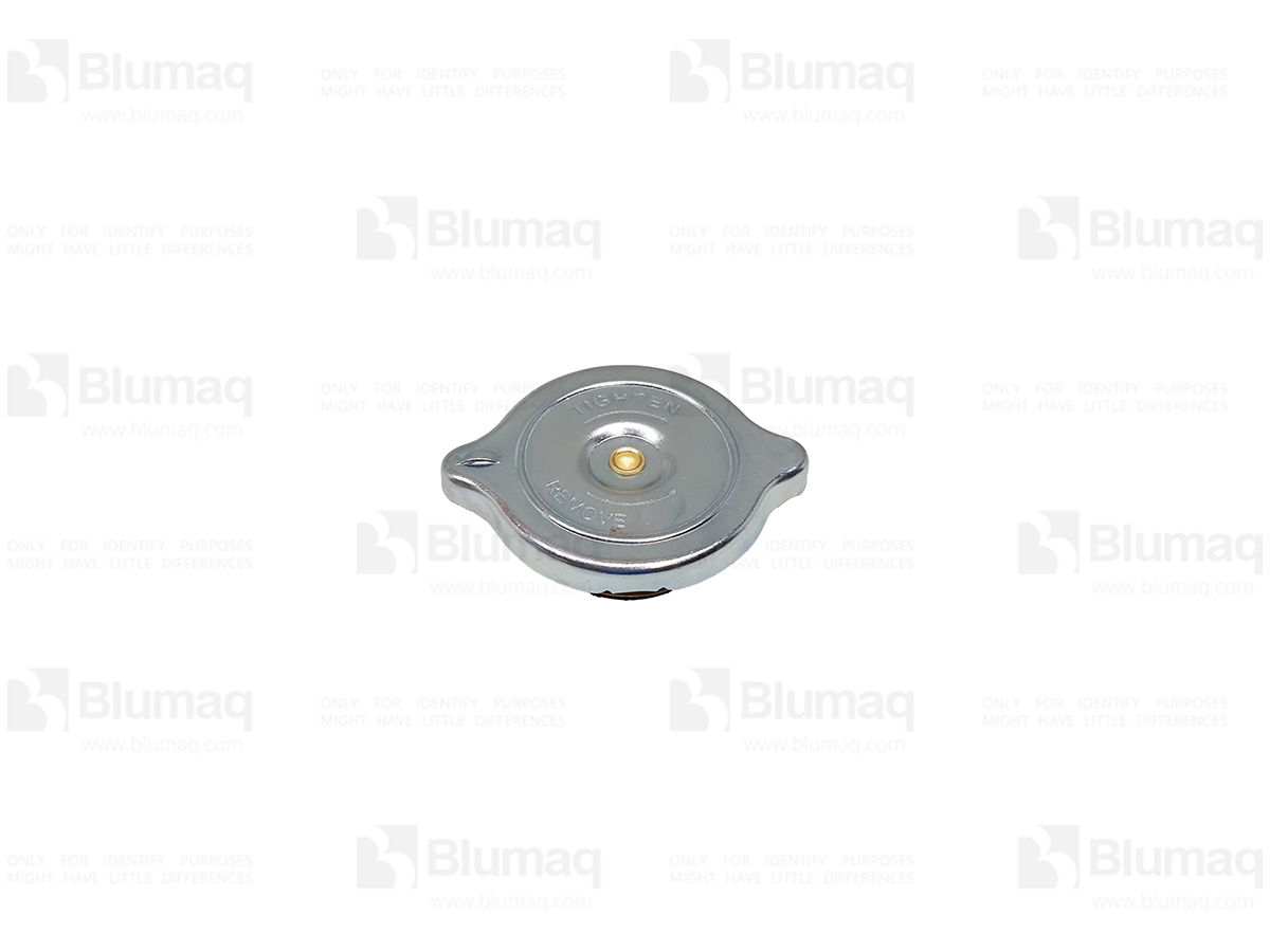 3324175 BQ CAP AS.-RA