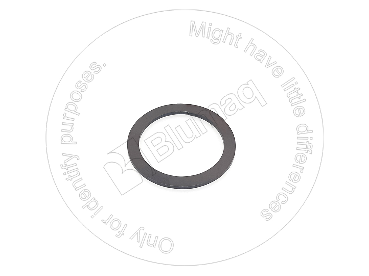 2P9556 BQ ШАЙБА