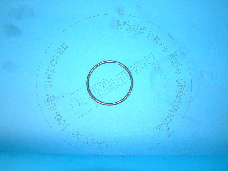 0950263 ST СЕГМЕНТ