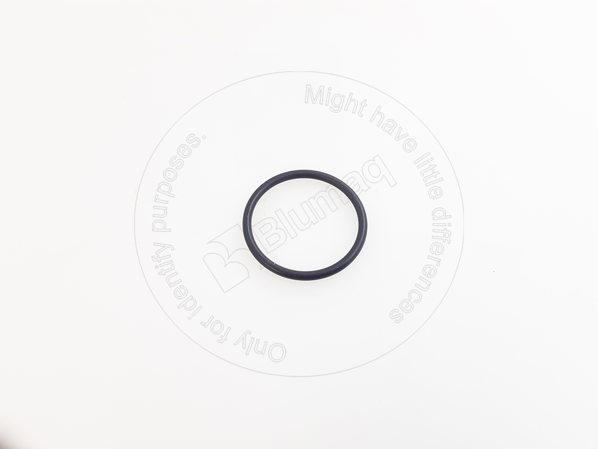 1131504 ST УПЛОТНИТЕЛЬНОЕ КОЛЬЦО