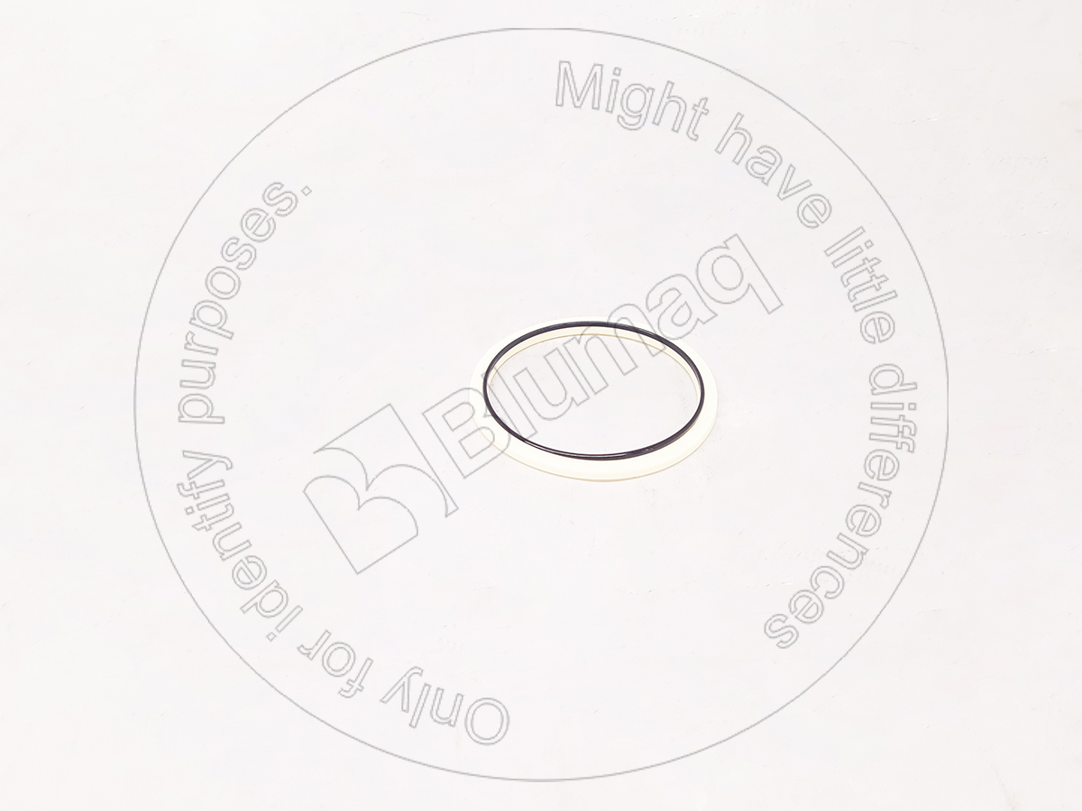 1505825 ST САЛЬНИК