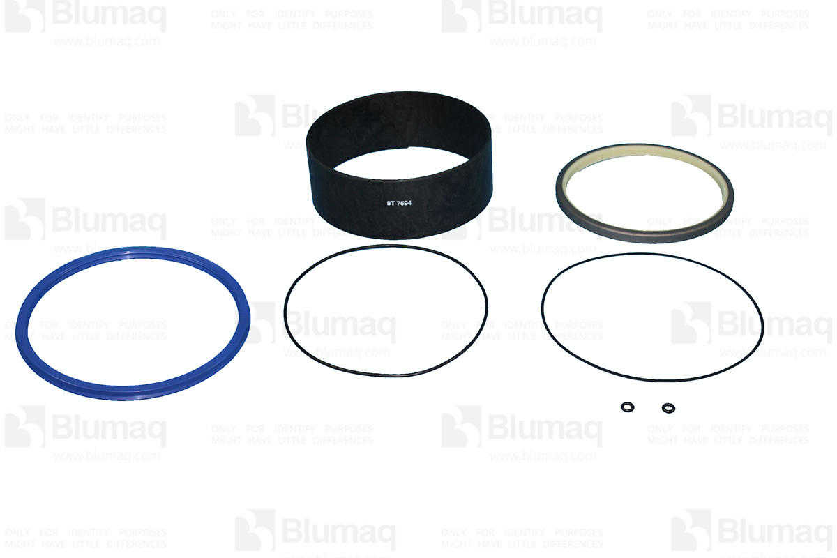 2950147 BQ НАБОР УПЛОТНЕНИЙ