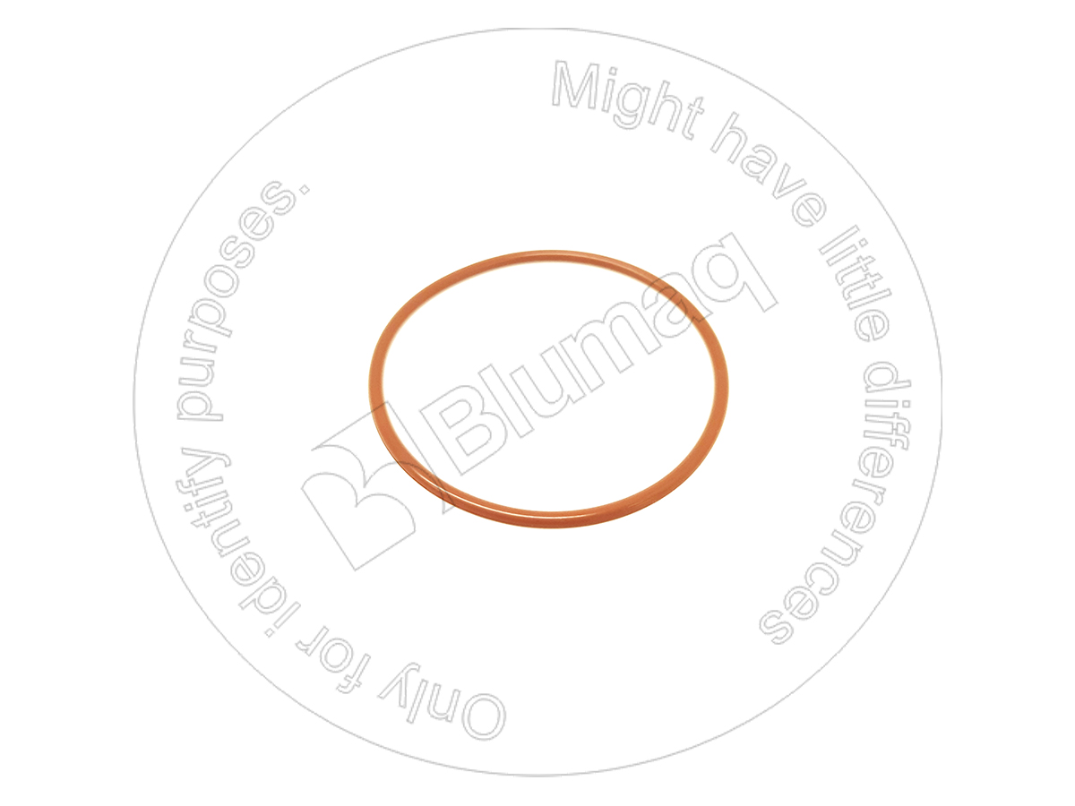 5P4889 ST КОЛЬЦО КРУГЛОГО СЕЧЕНИЯ