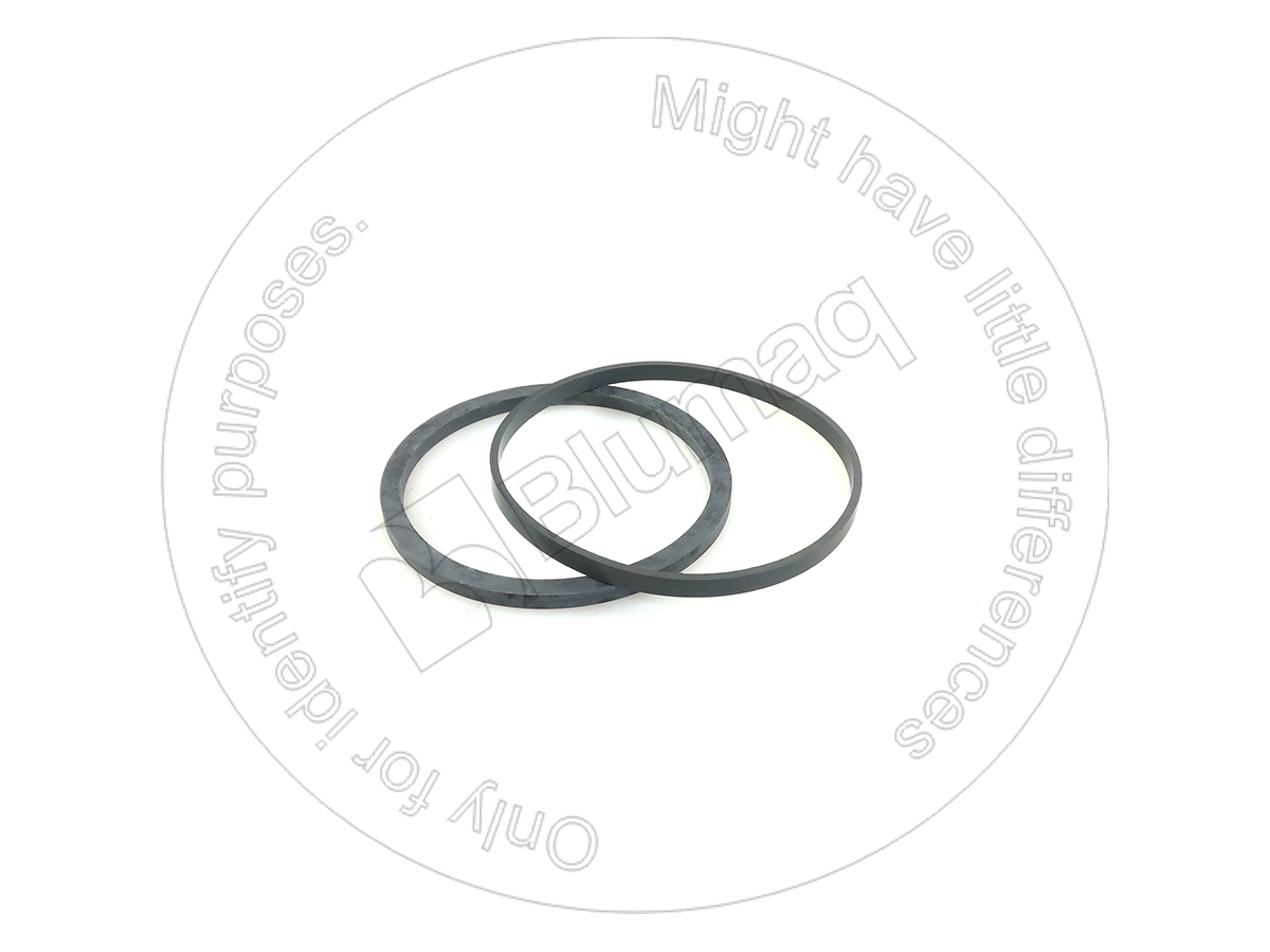 5J4937 ST САЛЬНИК