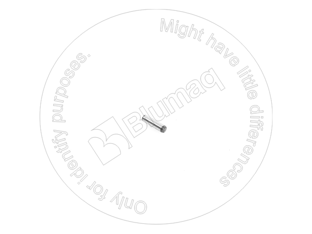 1787190XB BQ ШТИФТ