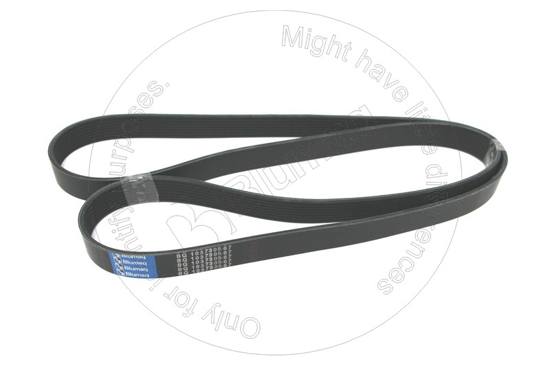 2884641 BQ Ремень (8 ребер)