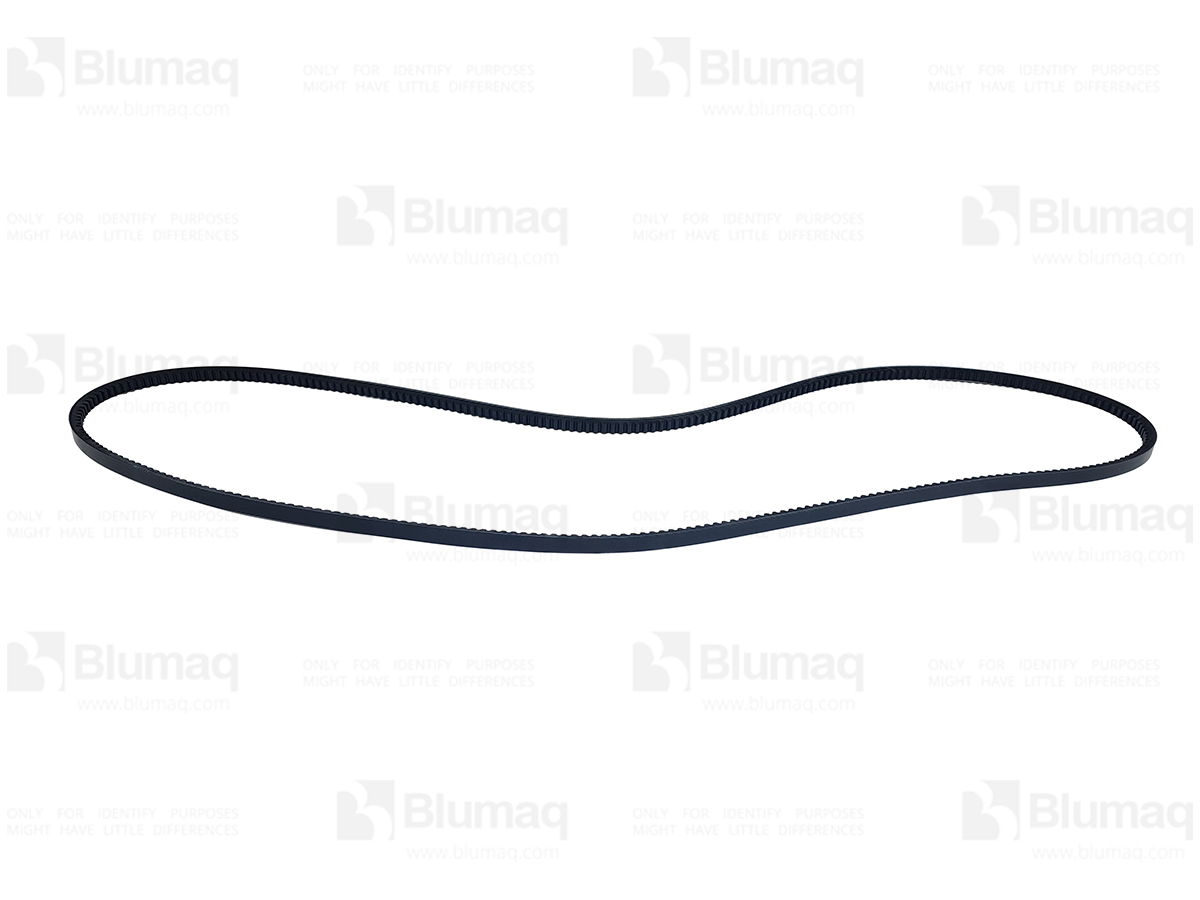 1690146 BQ BELT