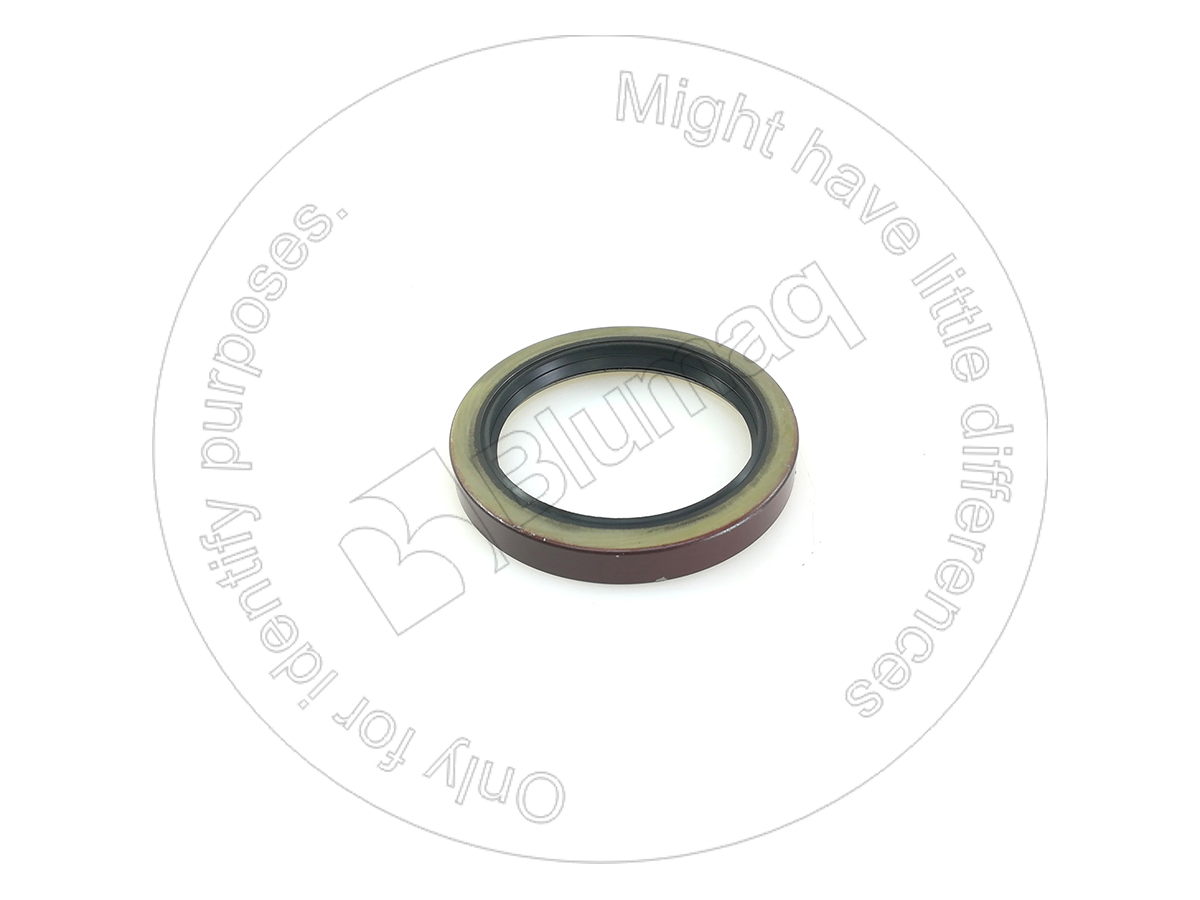 4B7624 ST САЛЬНИК