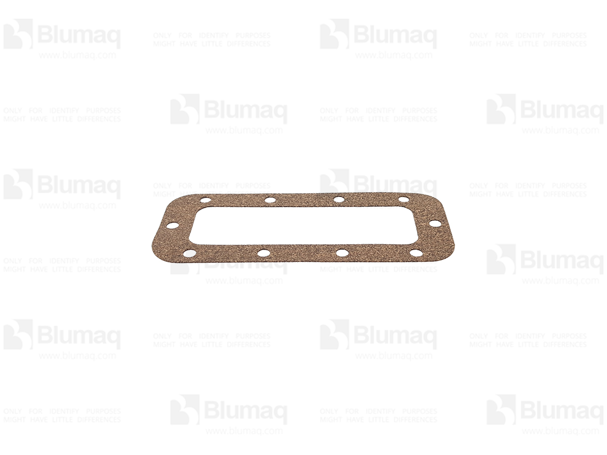 SV04691600 OE GASKET