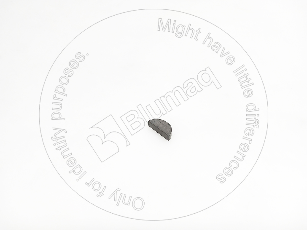 8C1764 OR ШПОНКА