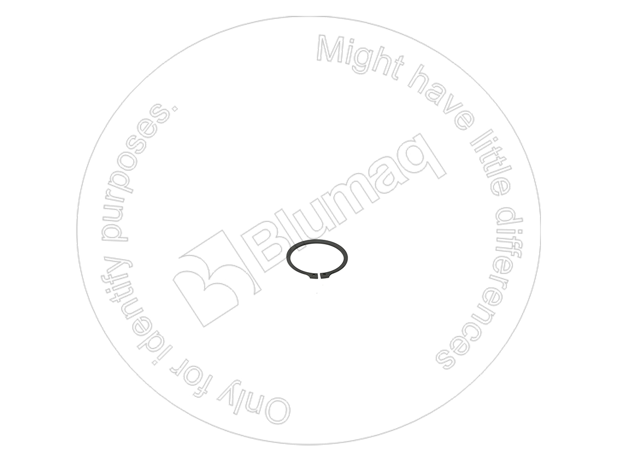 4828487 ST ПРУЖИННОЕ КОЛЬЦО