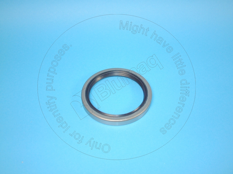 3B8188 ST САЛЬНИК