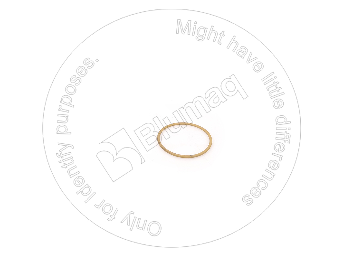 1090080 ST КОЛЬЦО КРУГЛОГО СЕЧЕНИЯ