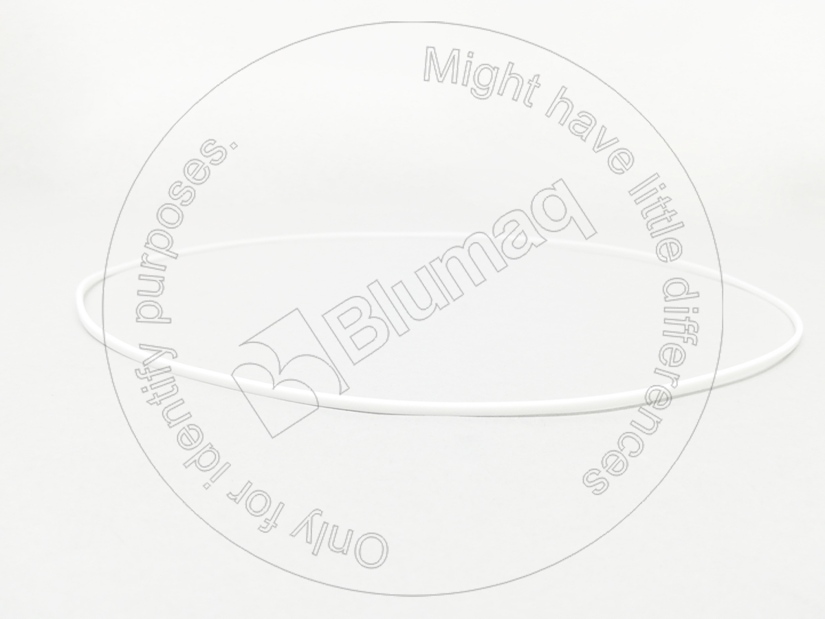 1S7349 ST СЕГМЕНТ